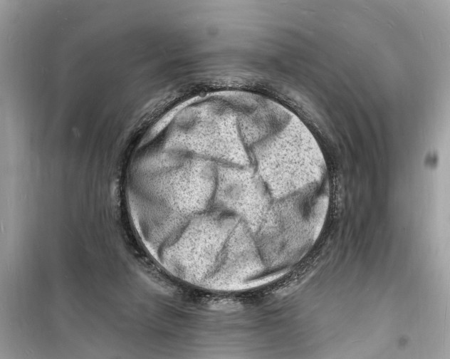 X0000098230258200805221717