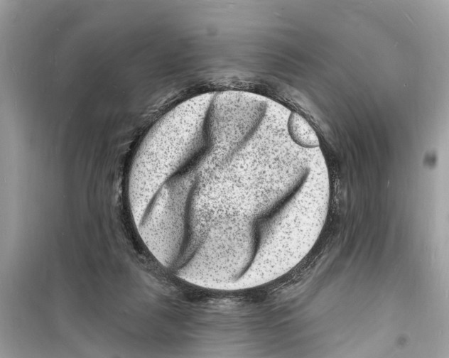 X0000098230259200805221717