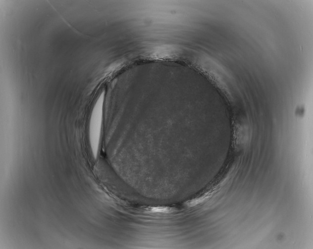 X0000098230260200805221717