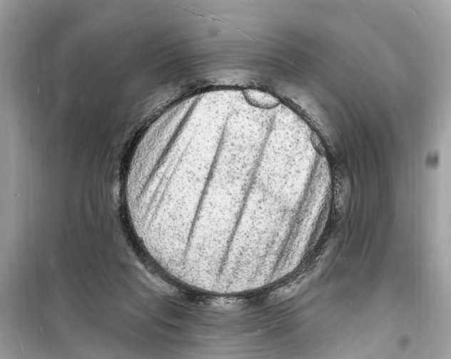 X0000098230261200805221717