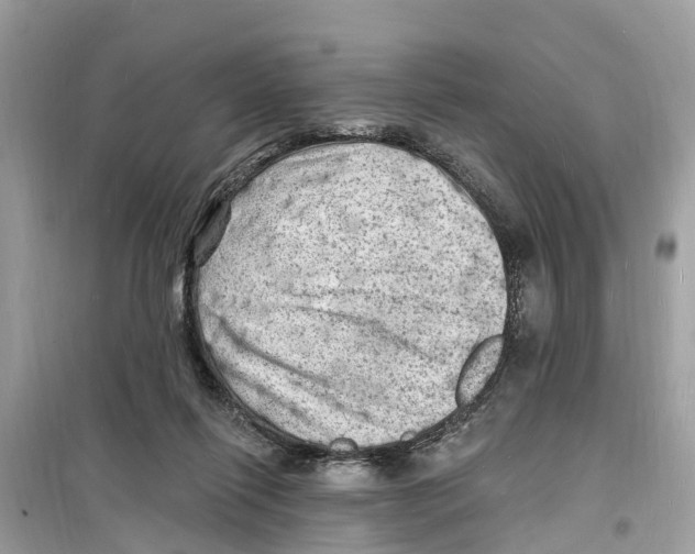 X0000098230262200805221717