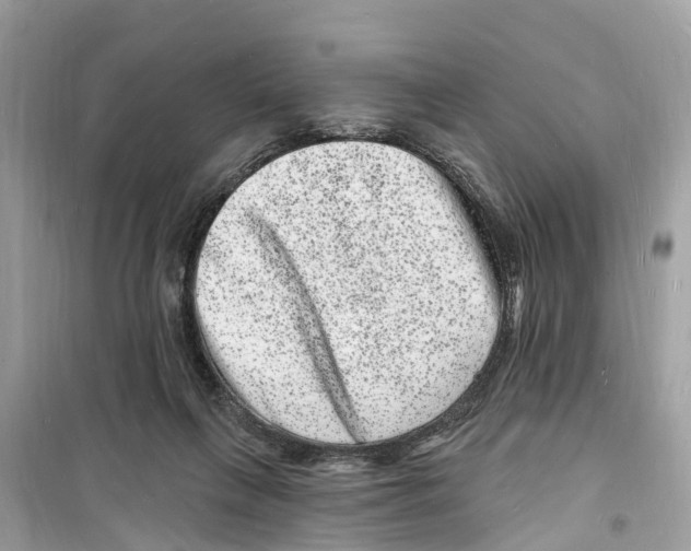 X0000098230263200805221717