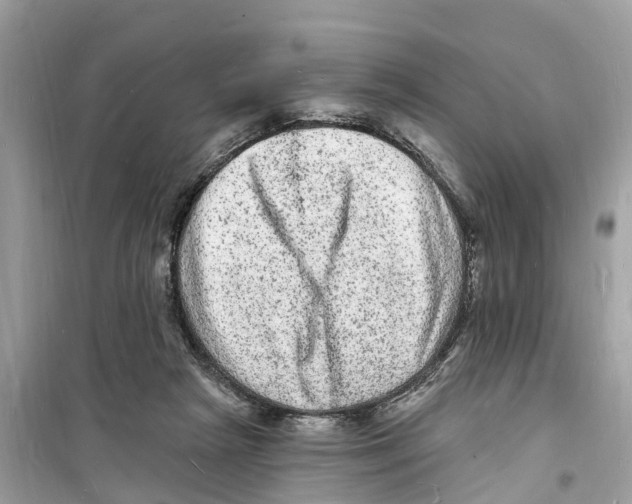 X0000098230265200805221717