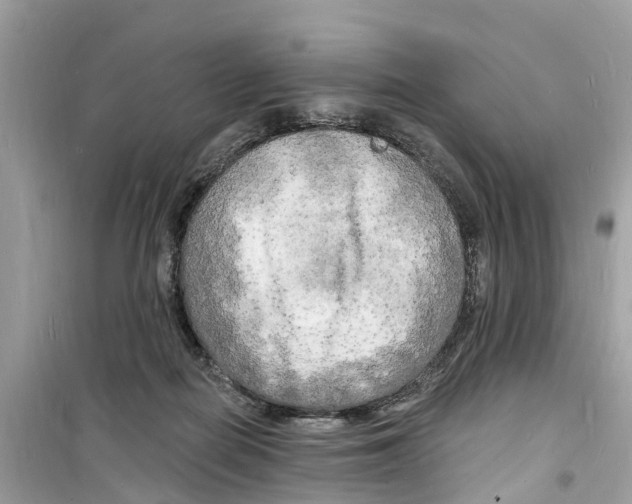 X0000098230266200805221717