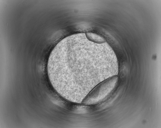 X0000098230268200805221717