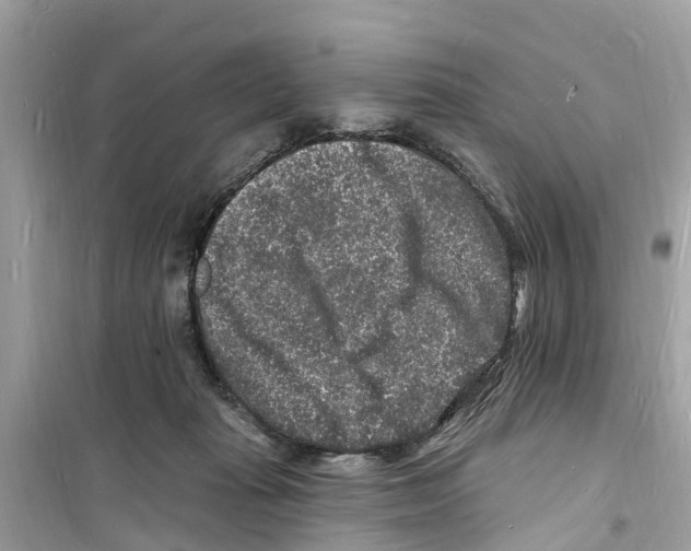 X0000098230269200805221717