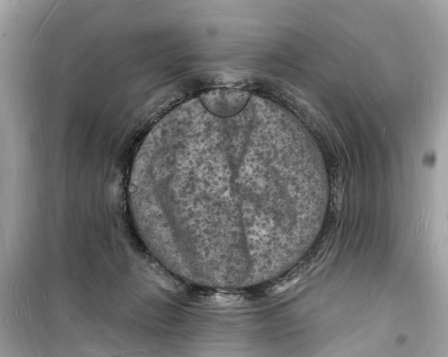 X0000098230270200805221717