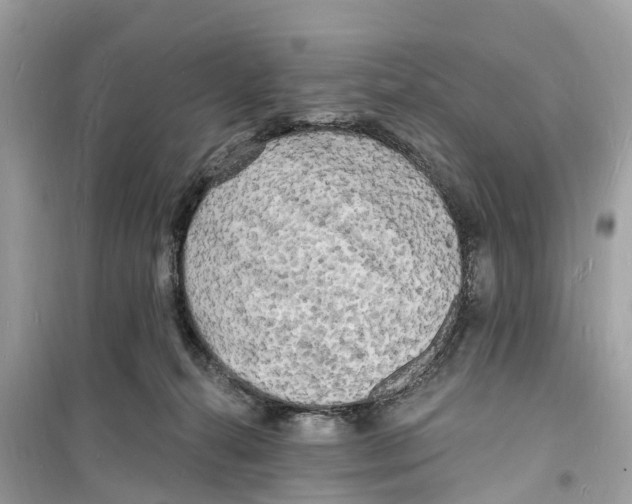 X0000098230272200805221717