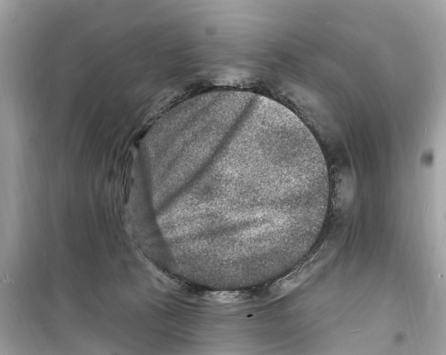 X0000098230273200805221717