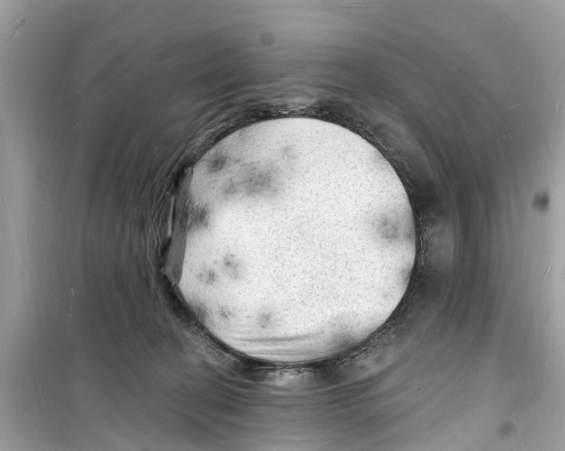 X0000098230274200805221717