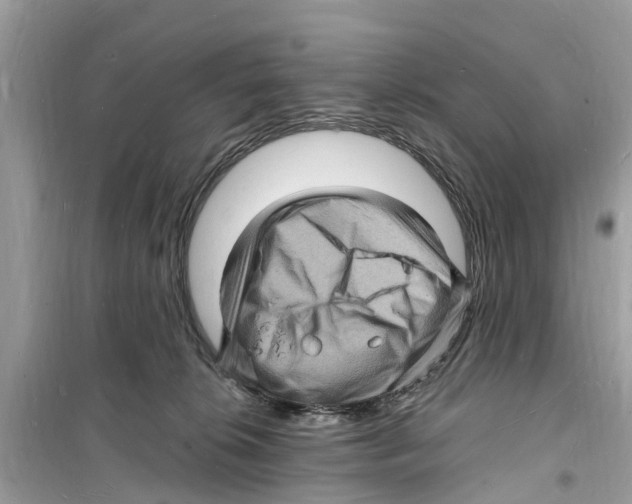 X0000098230276200805221717