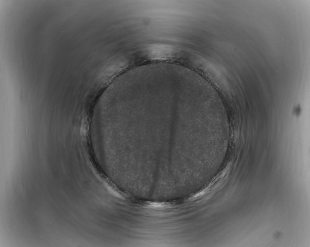 X0000098230277200805221717