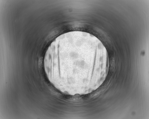 X0000098230278200805221717