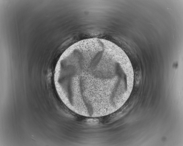 X0000098230279200805221717