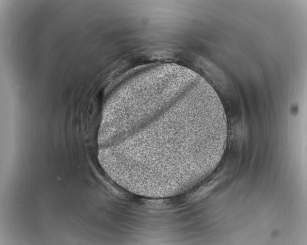 X0000098230281200805221717