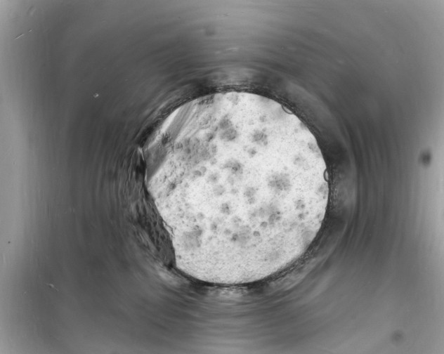 X0000098230282200805221717