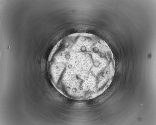 X0000098230283200805221717