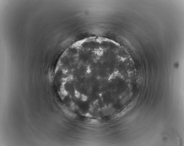 X0000098230285200805221718