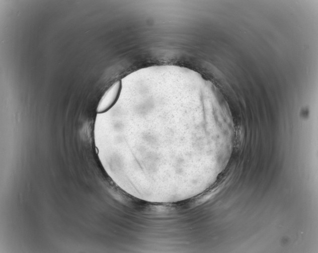 X0000098230286200805221718