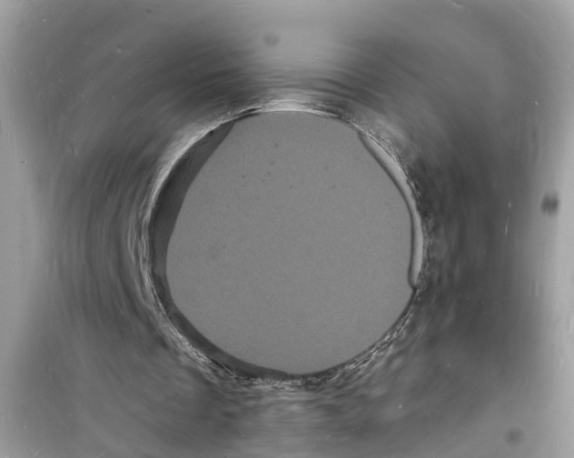 X0000098230289200805221717