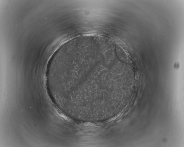 X0000098230290200805221717