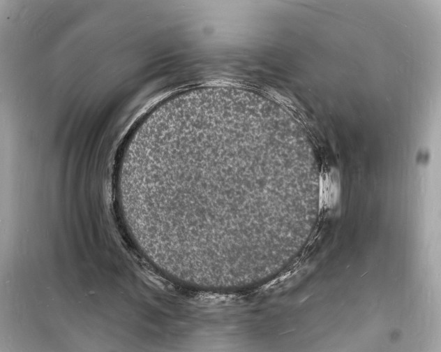 X0000098230291200805221717