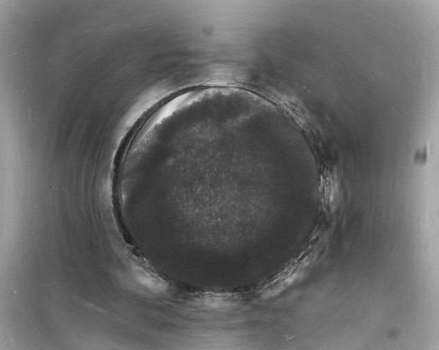 X0000098230292200805221717