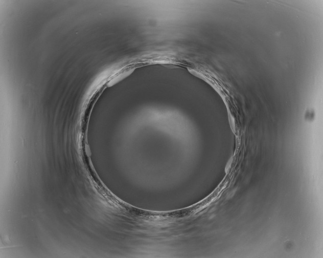 X0000098230293200805221717