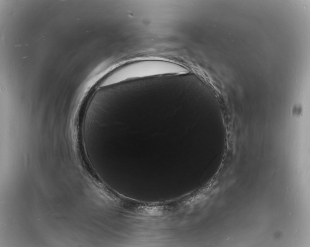 X0000098230295200805221717