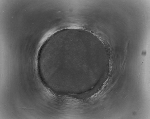 X0000098230296200805221717