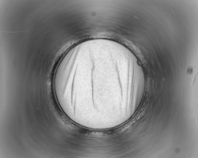 X0000098230298200805221717