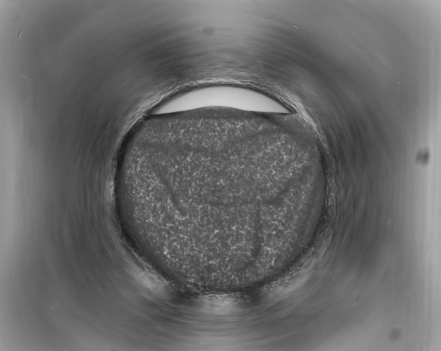 X0000098230299200805221717