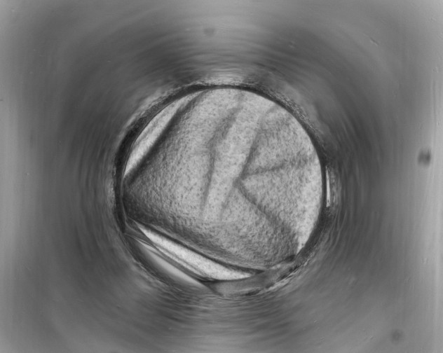 X0000098230300200805221717