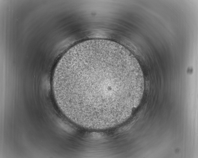 X0000098230302200805221717