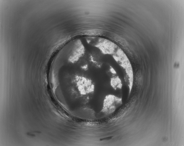 X0000098230303200805221717