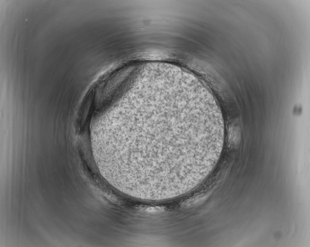 X0000098230304200805221717