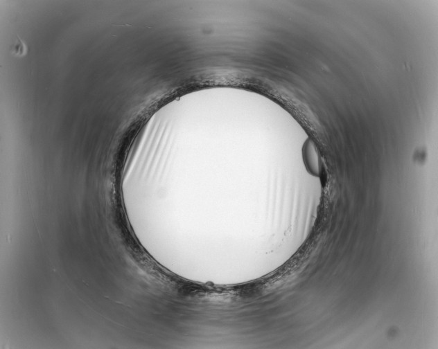 X0000098230306200805221717