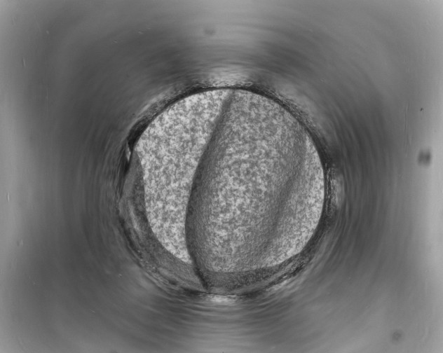 X0000098230308200805221717