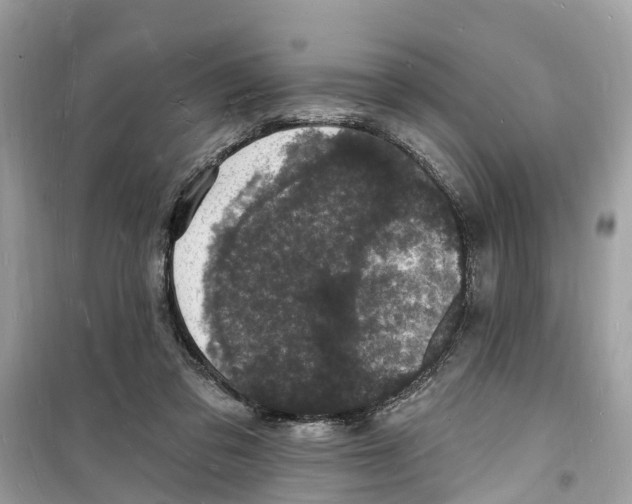 X0000098230309200805221717