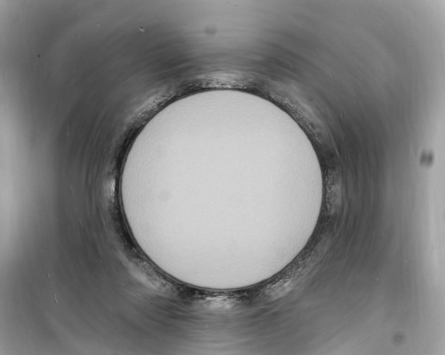 X0000098230310200805221717