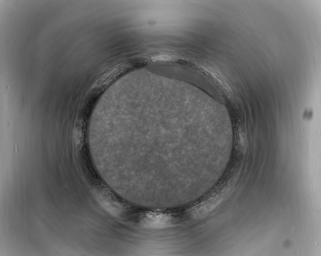 X0000098230311200805221717