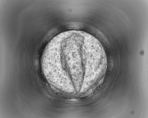 X0000098230312200805221717