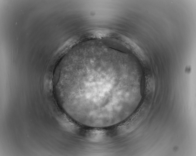 X0000098230313200805221717