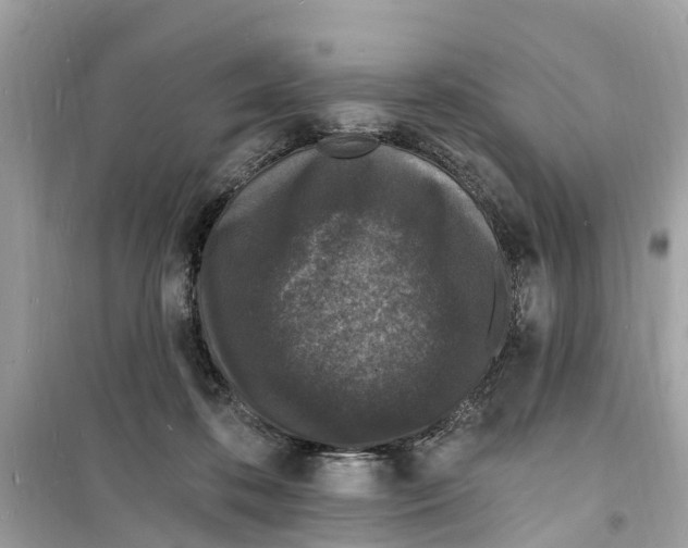 X0000098230316200805221717