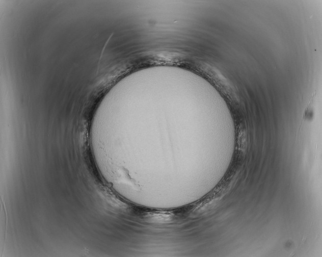 X0000098230318200805221717