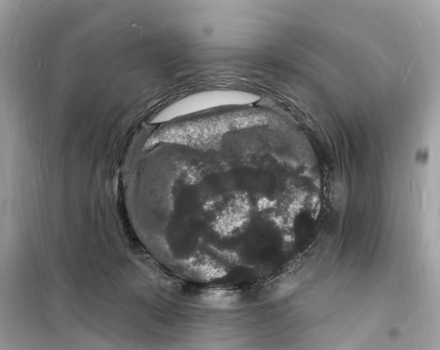 X0000098230319200805221717