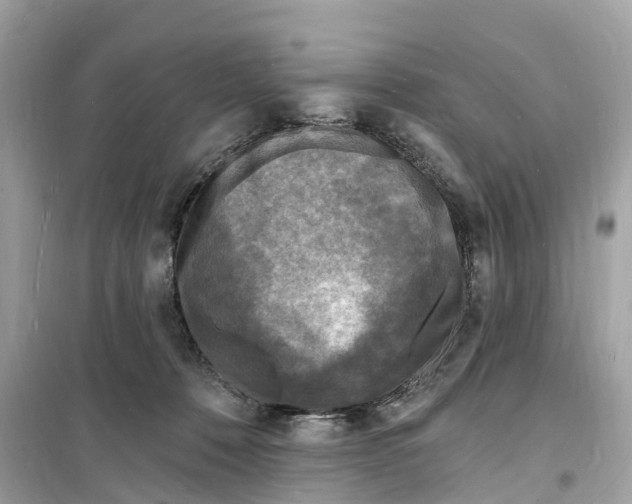 X0000098230320200805221717