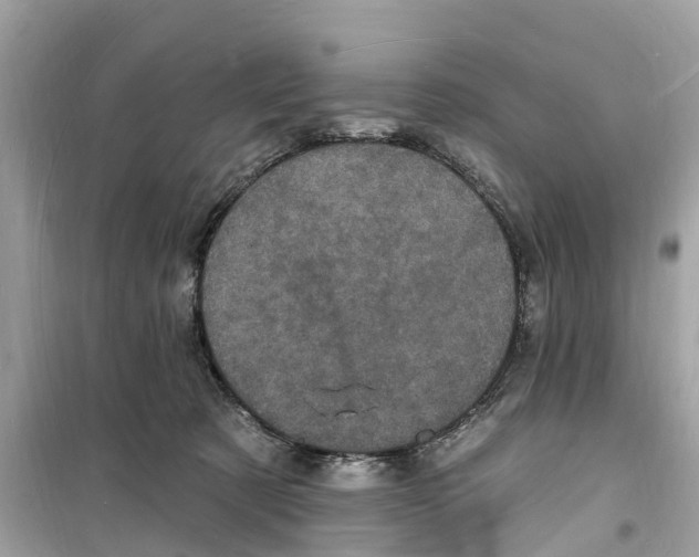 X0000098230321200805221717