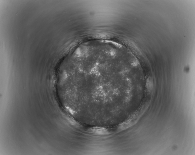 X0000098230322200805221717