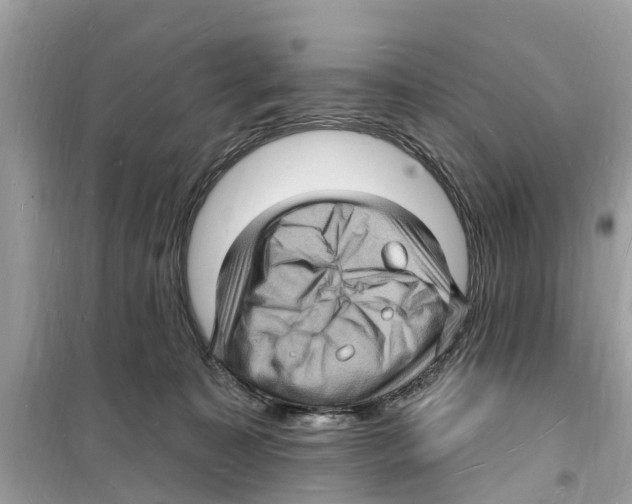 X0000098230323200805221716